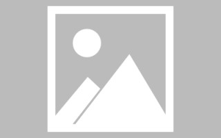 改则网页设计师周记（网页设计周记26篇300字）
